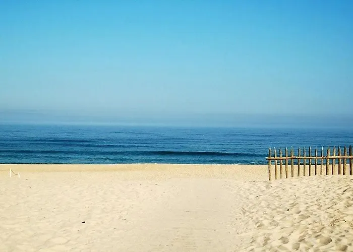 3 Proche Du Lejlighed